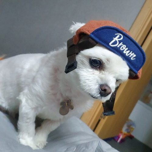 코스트코근방