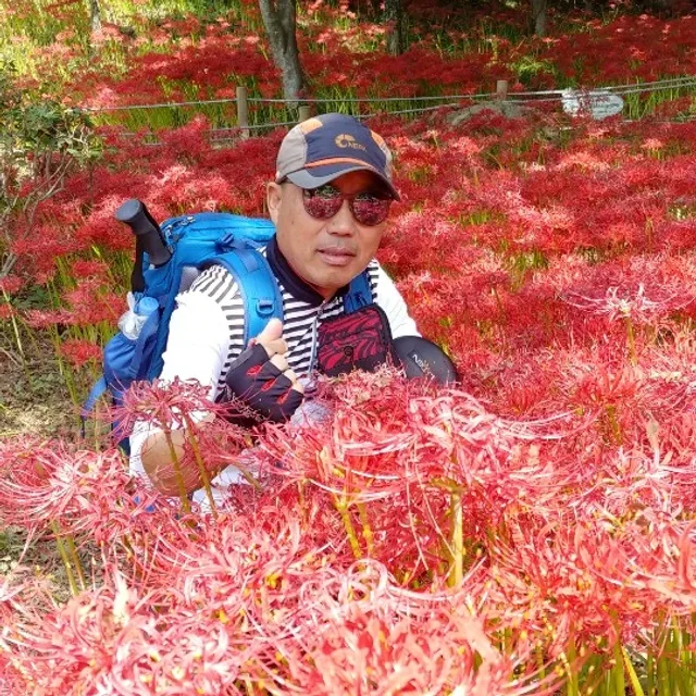 야시장