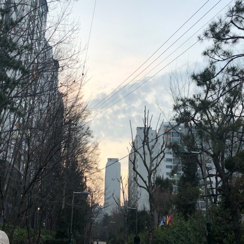 봉봉봉