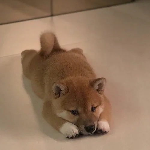 김삿갓