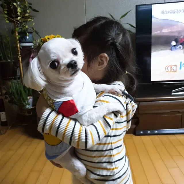 o호연민o