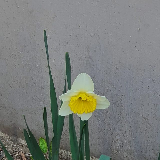 비움실천중