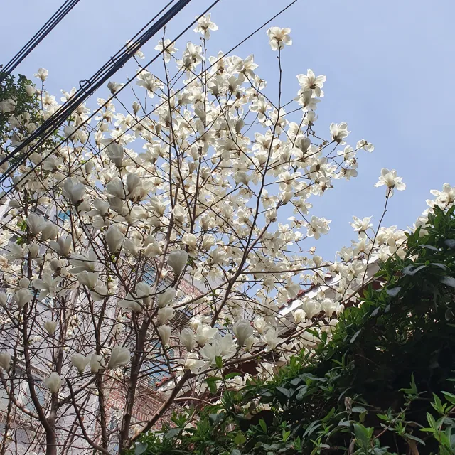 숑입니다