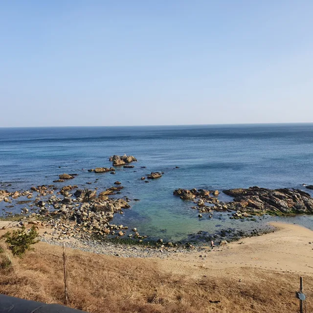 전기가오리