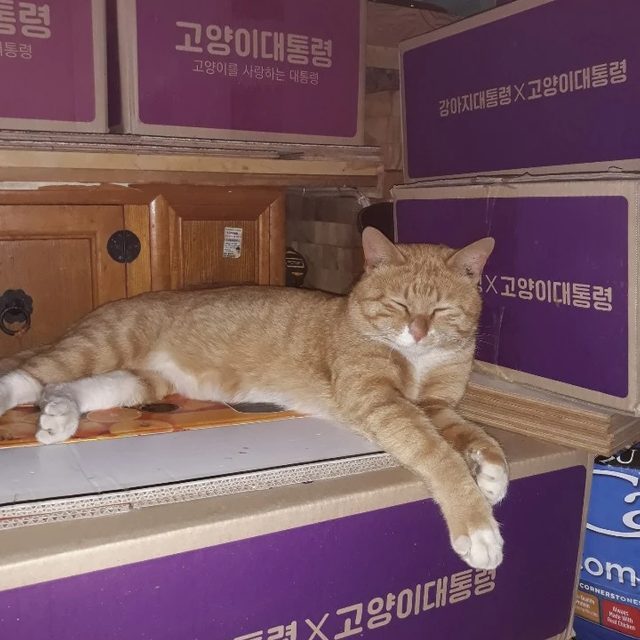 눈누난나