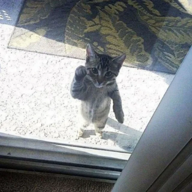 꼬빅