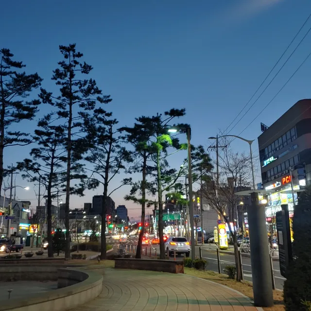댐댐