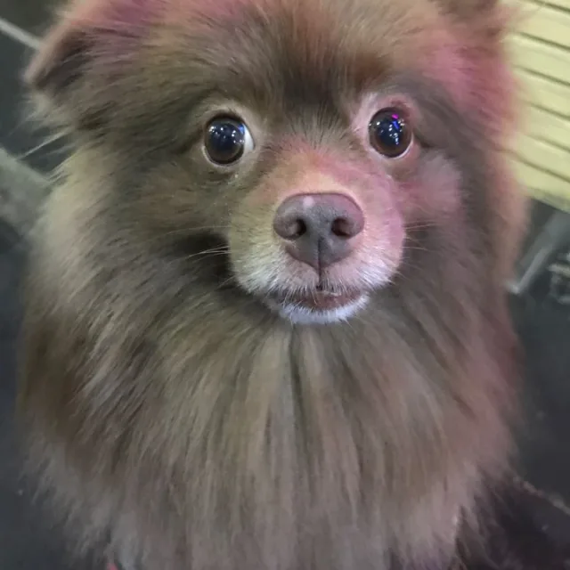 무무무무무무무