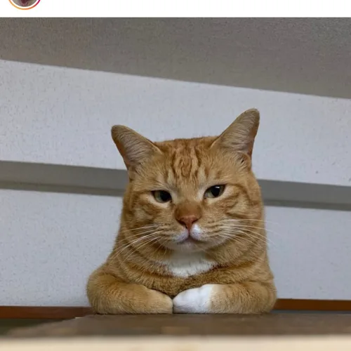 보부상