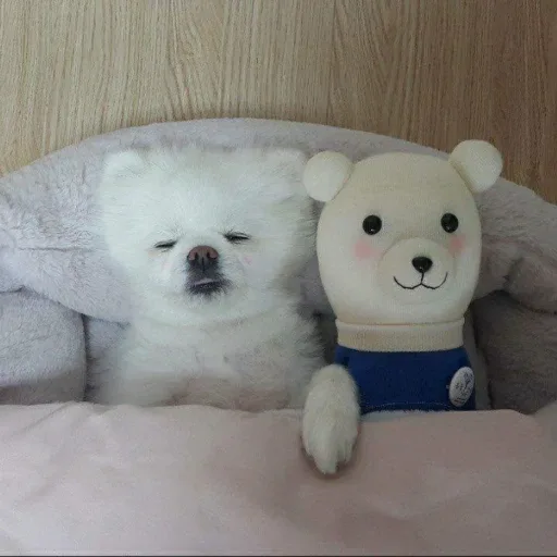 하하항