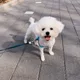 케케룽