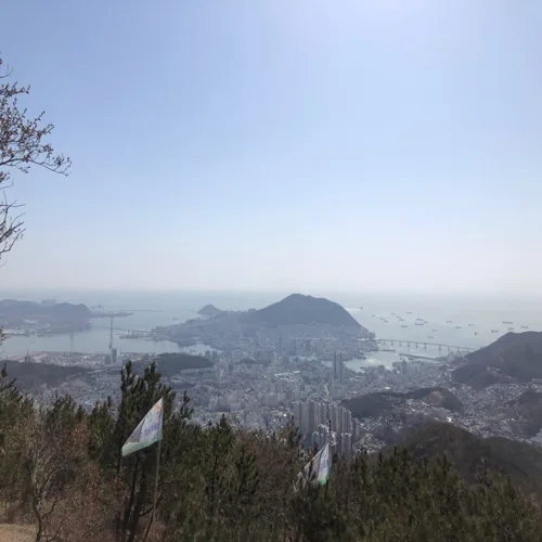 명지동