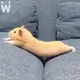 태정태세문단속잘해라