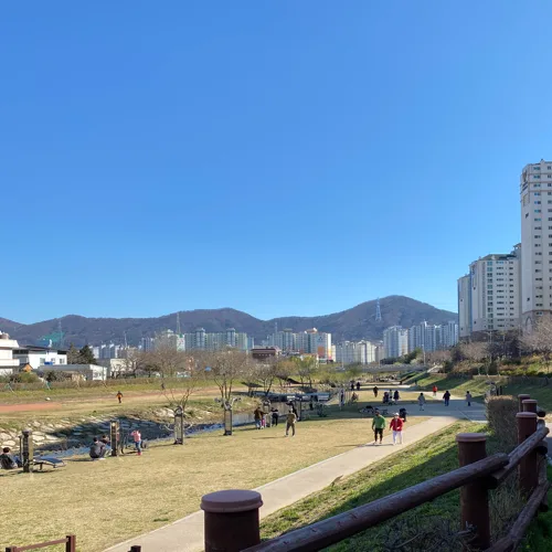 열혈가인