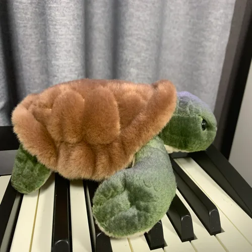 감성거북이