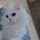 엄마집정리중