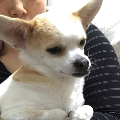 profile