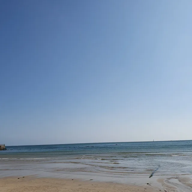 당근매너