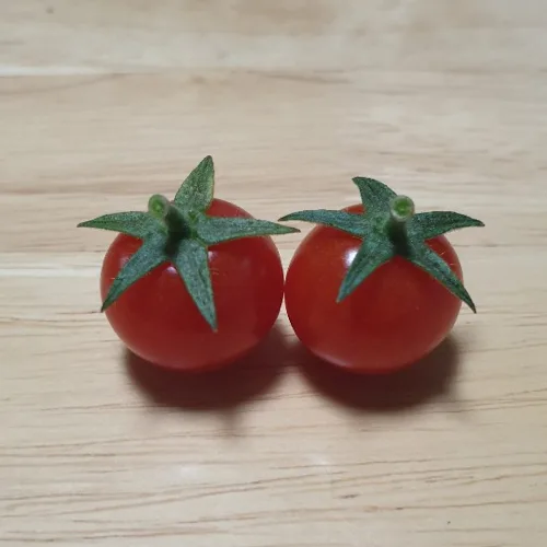 물파스