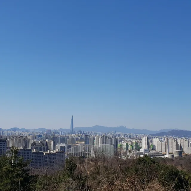 알로떼당근