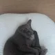 오월파파