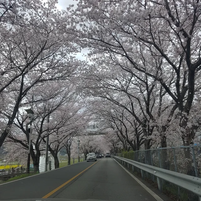 소망