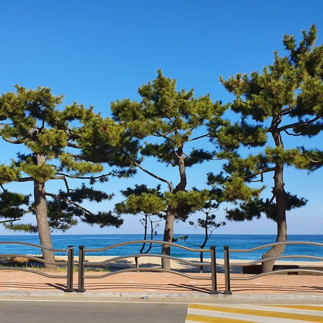 엘림