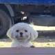 쏘엥