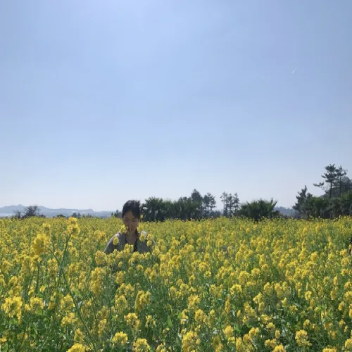 고무나무바기