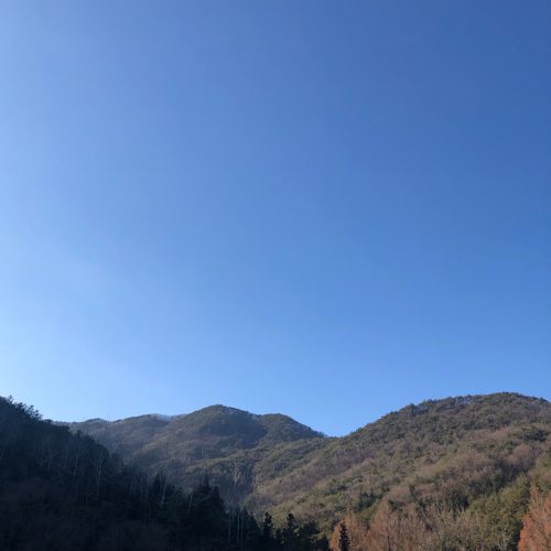 또당