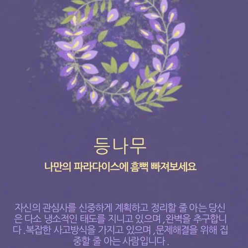 아오맘