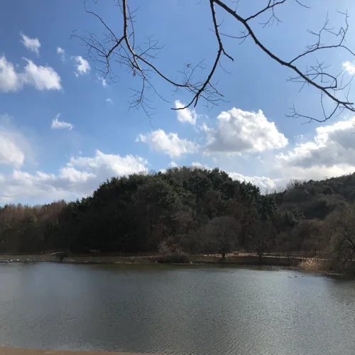 한블리