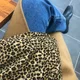 또리