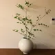 모모1124