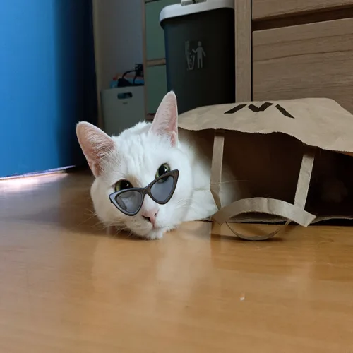 냥맘