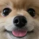 구리아빠