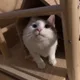 구름