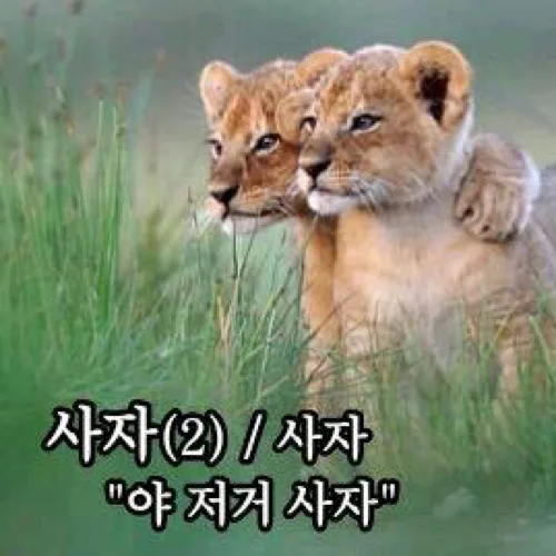 이힝