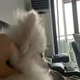 소미이모
