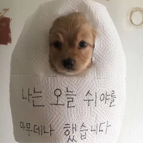 로구