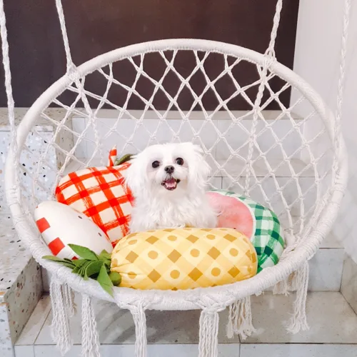 뭉치