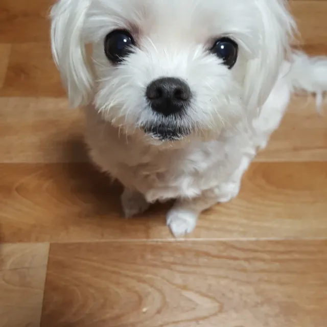 솔조이