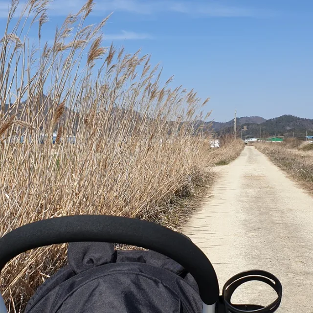 뽀로로롱