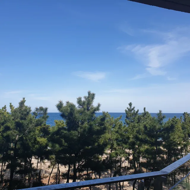 해피라이프
