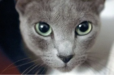 237