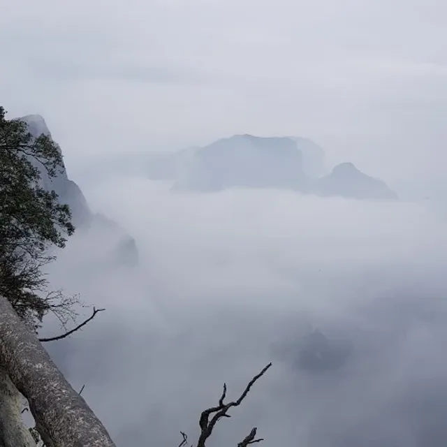용이야
