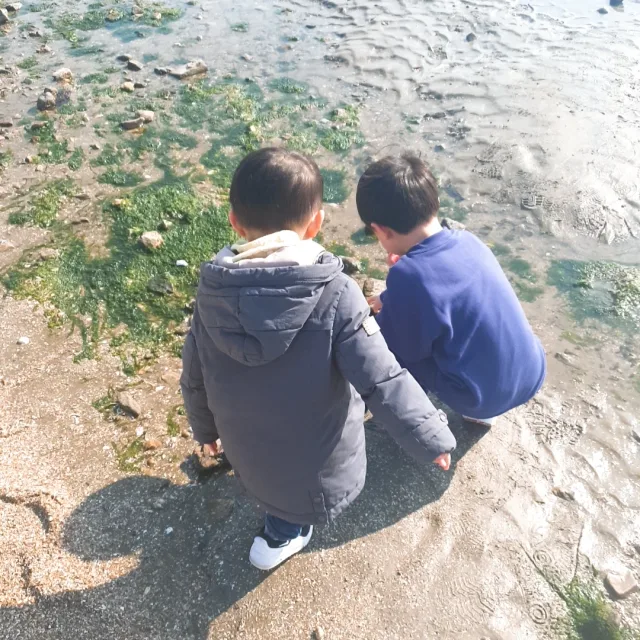 쭝맘
