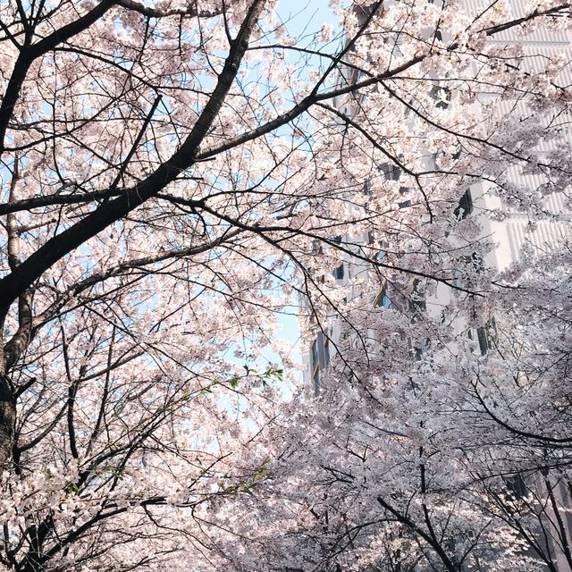 애프터문