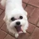 한글사랑해