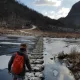 초록